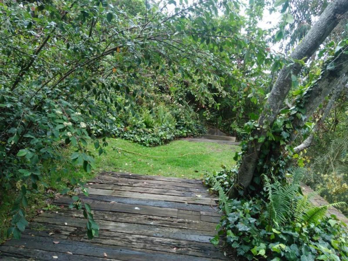 5 bedrooms House in Cundinamarca, Colombia No. 2501