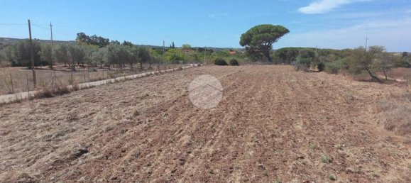 Land in Sorso, Italy No. 325184 3