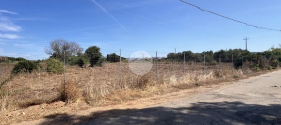 Land in Sorso, Italy No. 325184 10