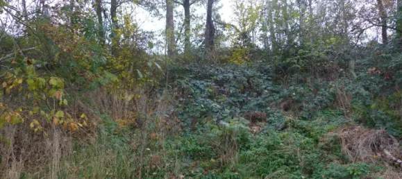 Grundstück in Nordsachsen, Germany, Nr. 160340 5