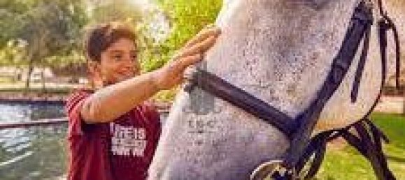 4 bedrooms Townhouse in Yas Island, UAE No. 23648 17