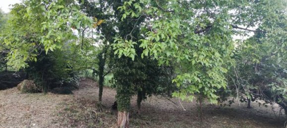 Terreno en Supino, Italy 860 m² No. 269158 2