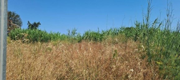 Terrain à Palafolls, Spain No. 156285 33