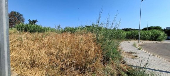 Terrain à Palafolls, Spain No. 156285 18