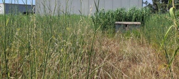 Terrain à Palafolls, Spain No. 156285 10