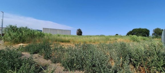 Terrain à Palafolls, Spain No. 156285 7