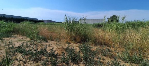 Terrain à Palafolls, Spain No. 156285 26