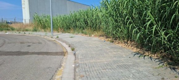 Terrain à Palafolls, Spain No. 156285 32