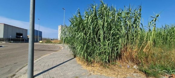 Terrain à Palafolls, Spain No. 156285 35