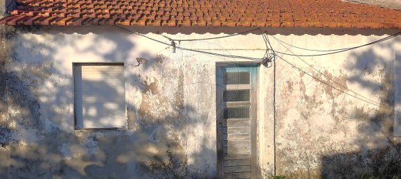 3 غرف نوم منزل في Evora de Alcobaca, Portugal رقم 35113 5