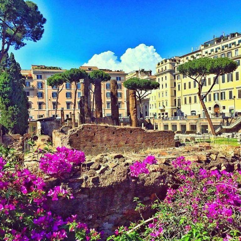 5 rooms Hotel in Rome, Italy No. 287029