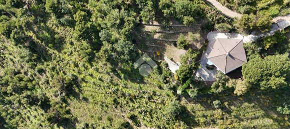 4 Schlafzimmer Villa in Cipressa, Italy, Nr. 89974 43