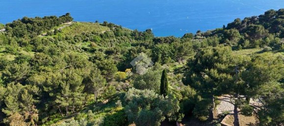 4 Schlafzimmer Villa in Cipressa, Italy, Nr. 89974 9