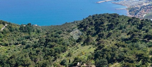 4 Schlafzimmer Villa in Cipressa, Italy, Nr. 89974 5