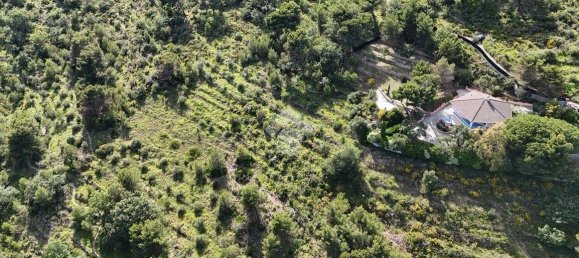 4 Schlafzimmer Villa in Cipressa, Italy, Nr. 89974 8