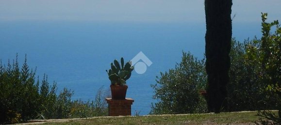 4 Schlafzimmer Villa in Cipressa, Italy, Nr. 89974 37