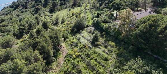 4 Schlafzimmer Villa in Cipressa, Italy, Nr. 89974 42