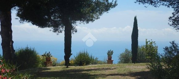 4 Schlafzimmer Villa in Cipressa, Italy, Nr. 89974 38