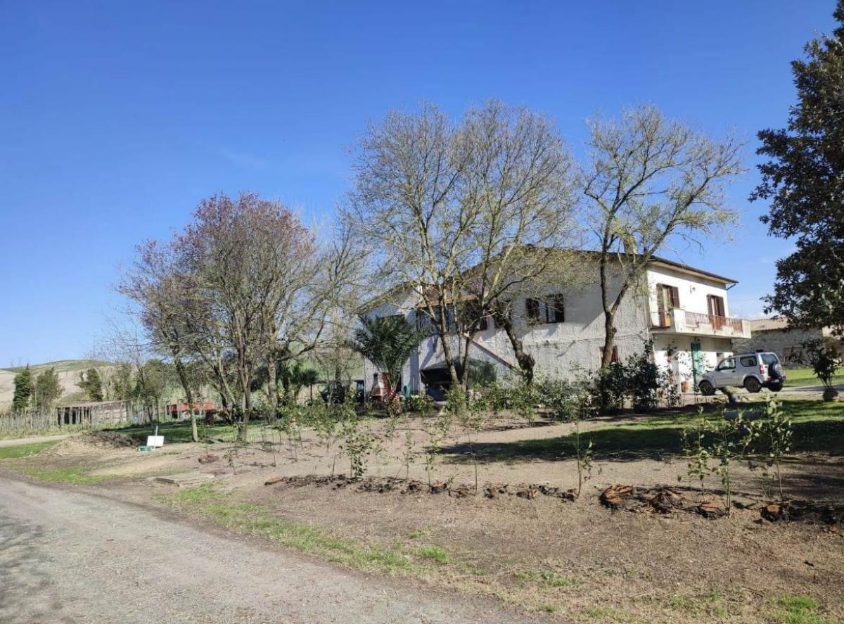 2 chambres Maison à Chianni, Italy No. 1324