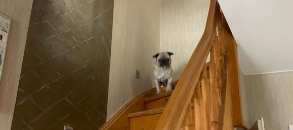 1 غرف نوم تاون هاوس في Gotha, Germany رقم 233552 11