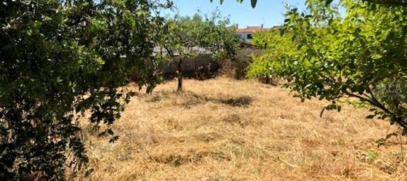 Casa de 3 dormitorios en Alter do Chao, Portugal No. 15319 14
