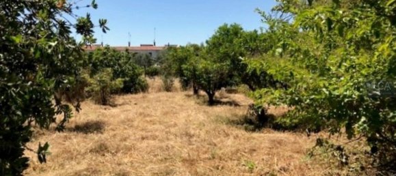 Casa de 3 dormitorios en Alter do Chao, Portugal No. 15319 13