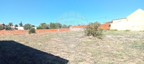 2 bedrooms House in Santarem, Portugal No. 19764 11