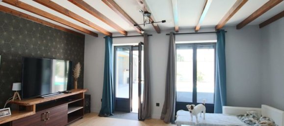 4 bedrooms House in Villieu-Loyes-Mollon, France No. 310081 8