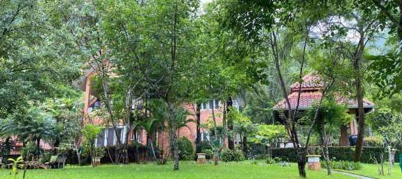 2 bedrooms Cafe / restaurant in Chiang Mai, Thailand No. 9138 4