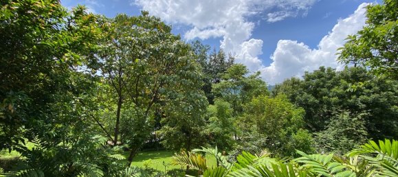 2 bedrooms Cafe / restaurant in Chiang Mai, Thailand No. 9138 6