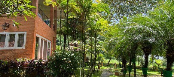 2 bedrooms Cafe / restaurant in Chiang Mai, Thailand No. 9138 7