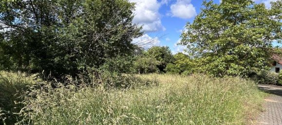 Grundstück in Miltenberg, Germany 883m², Nr. 141949 3