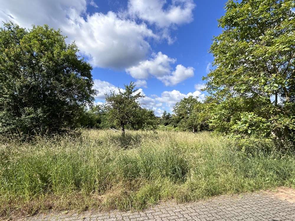 Grundstück in Miltenberg, Germany 883m², Nr. 141949