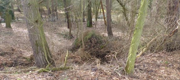 Terreno en Teltow-Flaming, Germany No. 326889 7