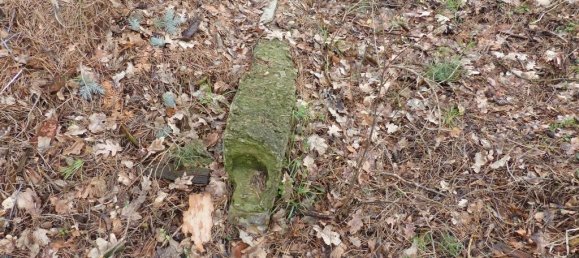 Terreno en Teltow-Flaming, Germany No. 326889 10