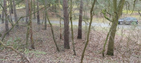 Terreno en Teltow-Flaming, Germany No. 326889 4