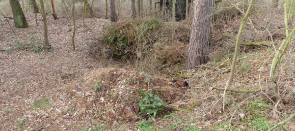 Terreno en Teltow-Flaming, Germany No. 326889 8