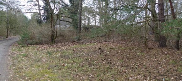 Terreno en Teltow-Flaming, Germany No. 326889 3