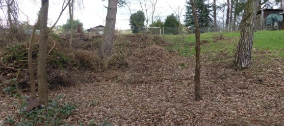 Terreno en Teltow-Flaming, Germany No. 326889 9