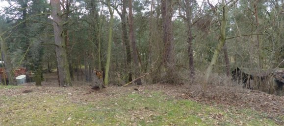 Terreno en Teltow-Flaming, Germany No. 326889 6