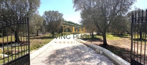 10 rooms Villa in Ostuni, Italy No. 35416 3