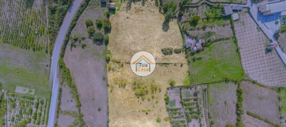 1 غرف نوم قلاع في Mangualde, Portugal رقم 58248 12