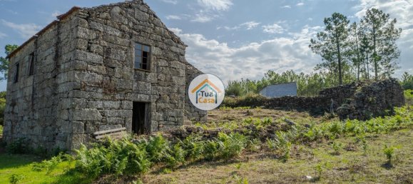 1 غرف نوم قلاع في Mangualde, Portugal رقم 58248 6