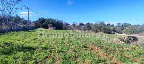 Земельный участок 25000м² в Полиньяно а Маре, Италия № 22201 48