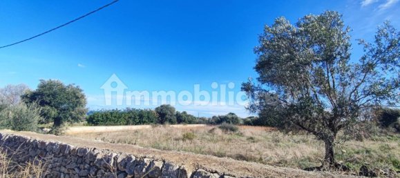 Земельный участок 25000м² в Полиньяно а Маре, Италия № 22201 35