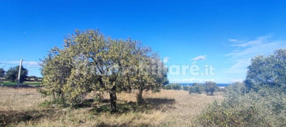 Земельный участок 25000м² в Полиньяно а Маре, Италия № 22201 5