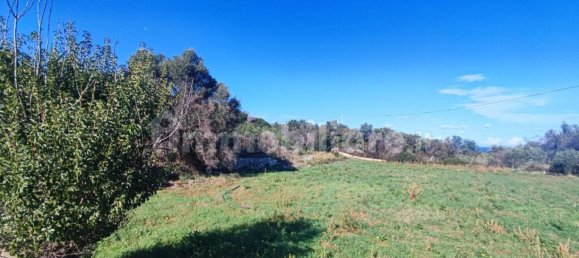 Земельный участок 25000м² в Полиньяно а Маре, Италия № 22201 6