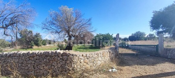 Земельный участок 25000м² в Полиньяно а Маре, Италия № 22201 16