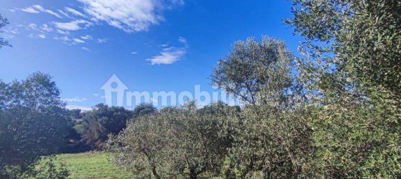 Земельный участок 25000м² в Полиньяно а Маре, Италия № 22201 15