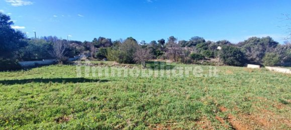 Земельный участок 25000м² в Полиньяно а Маре, Италия № 22201 25